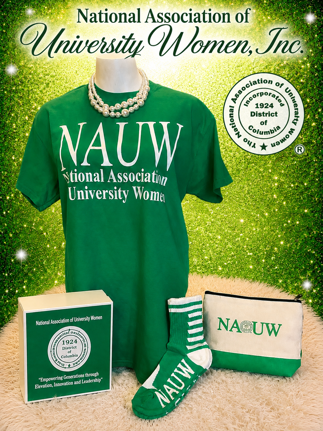 NAUW Induction Box
